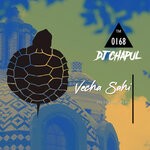 cover: Dj Chapul - Vecha Sahi