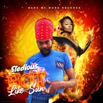 cover: Stedious - Hot Like Sun