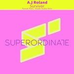 cover: A.j Roland - Survivor (The Remixes Part 2)