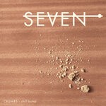 cover: Chill Bump - Seven