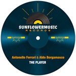 cover: Antonello Ferrari & Aldo Bergamasco - The Player (Club Mix)