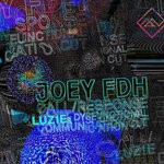 cover: Joey Fdh - Call/Response