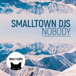 cover: Smalltown Djs - Nobody