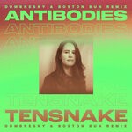 cover: Cara Melin|Tensnake - Antibodies