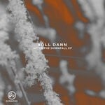 cover: Roll Dann - After The Downfall EP