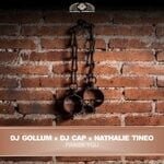 cover: Dj Cap|Dj Gollum|Nathalie Tineo - Praise You (Extended Mix)