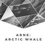 cover: Arne - Arctic Whale