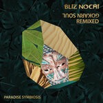 cover: Bliz Nochi - Gokarn Soul Remixed