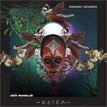 cover: Shamanic Catharsis - Natem