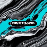 cover: Tim Light - NightHawk (Extended Mix)