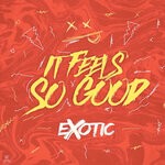 cover: Exotic - It Feels So Good