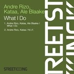 cover: Ale Blaake|ANDRE RIZO|KATAA - What I Do