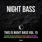 cover: Various - This Is Night Bass Vol 13