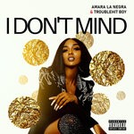 cover: Amara La Negra|Troubleboy Hitmaker - I Don't Mind (Explicit)