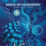 cover: Rikam|Various - Seeds Of Imagination