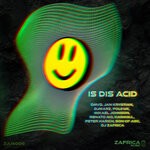 cover: Dj Zafrica - Is Dis Acid (Remixes)