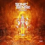 cover: Sonic Sense - Vishnu