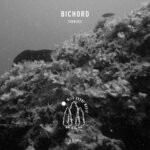 cover: Bichord - Simbiosi