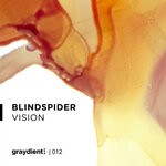 cover: Blindspider - Vision