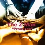 cover: The Z Man - Promises