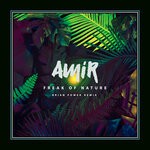 cover: Amir - Freak Of Nature (Brian Power Remix)