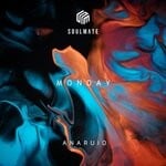 cover: Anaruio - Monday (Original Mix)