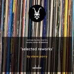 cover: Steve Parry - Selected Reworks