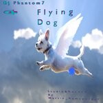 cover: Dj Phantom 7 - Flying Dog