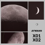 cover: Aywann - X01