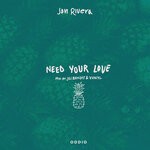 cover: Jt Soul - Need Your Love