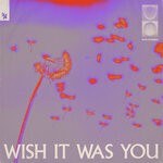 cover: Audien|Cate Downey - Wish It Was You (Extended Mix)