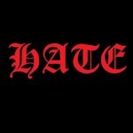 cover: Rave Energy - Hate