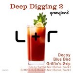 cover: Luchi & Raizer - Deep Digging 2