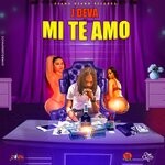 cover: J Deva - Mi Te Amo