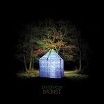 cover: Dan Deacon - Bromst