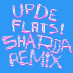 cover: Gemma Dunleavy - Up De Flats (Sharda Remix)