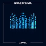 cover: Various - Sound Of LEVEL Vol 1 (Explicit)