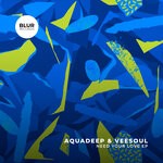 cover: Aquadeep|Veesoul - Need Your Love