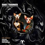 cover: Traumata|Rabo - Belive In Yourself