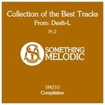 cover: Desib-l - Collection Of The Best Tracks From: Desib-L Pt 2