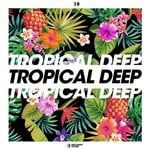 cover: Various - Tropical Deep Vol 19