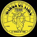 cover: Terr - Wings Of Time