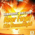 cover: Vibronic Nation - Never Forget (This Summernight)