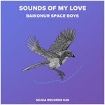 cover: Baikonur Space Boys - Sounds Of My Love