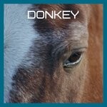 cover: Various - Donkey