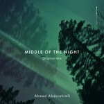 cover: Ahmed Abdurahimli - Middle Of The Night