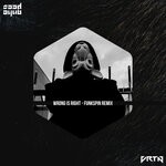 cover: Saad Ayub - Wrong Is Right (Funkspin Remix)