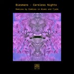 cover: Biesmans - Careless Nights