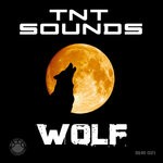 cover: Tnt Sounds - Wolf