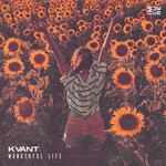 cover: Kvant - Wonderful Life